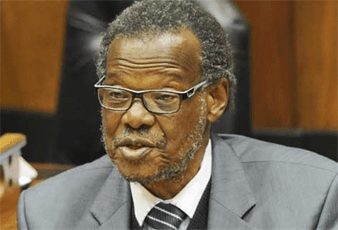 Mangosuthu Buthelezi - South African visa system