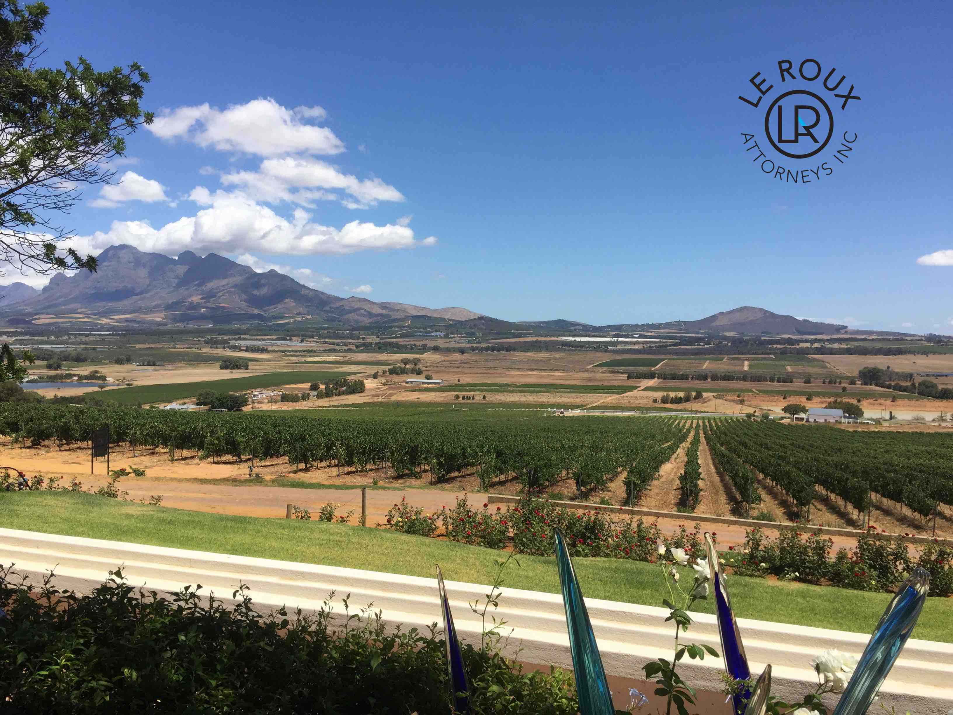 Cape Town Wine Farms
